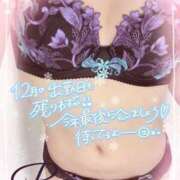 ヒメ日記 2024/12/29 12:46 投稿 れい EXE【都城本店】