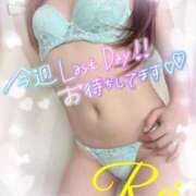 ヒメ日記 2025/02/16 07:36 投稿 れい EXE【都城本店】