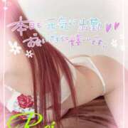 ヒメ日記 2025/07/18 18:07 投稿 れい EXE【都城本店】