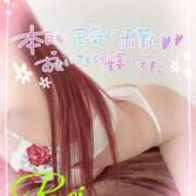 ヒメ日記 2025/09/05 14:06 投稿 れい EXE【都城本店】