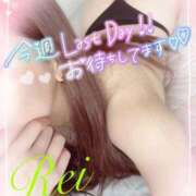 ヒメ日記 2025/11/23 12:56 投稿 れい EXE【都城本店】