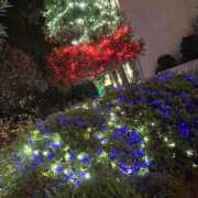 ヒメ日記 2024/12/14 10:09 投稿 椎名　ここみ 30・40・50代☆人妻熟女コレクション