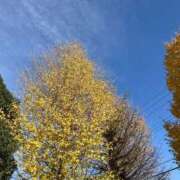 ヒメ日記 2024/12/21 14:03 投稿 椎名　ここみ 30・40・50代☆人妻熟女コレクション