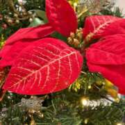 ヒメ日記 2024/12/23 09:37 投稿 椎名　ここみ 30・40・50代☆人妻熟女コレクション