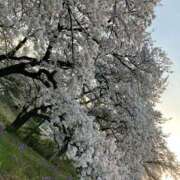 ヒメ日記 2025/01/20 11:03 投稿 椎名　ここみ 30・40・50代☆人妻熟女コレクション