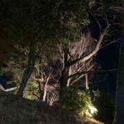 ヒメ日記 2025/02/05 10:30 投稿 椎名　ここみ 30・40・50代☆人妻熟女コレクション