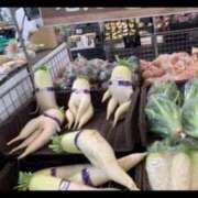 ヒメ日記 2025/02/16 11:00 投稿 椎名　ここみ 30・40・50代☆人妻熟女コレクション