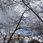 ヒメ日記 2025/04/02 15:00 投稿 椎名　ここみ 30・40・50代☆人妻熟女コレクション