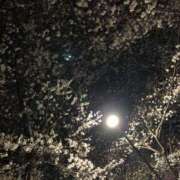 ヒメ日記 2025/04/07 20:02 投稿 椎名　ここみ 30・40・50代☆人妻熟女コレクション