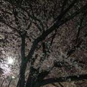 ヒメ日記 2025/04/23 12:10 投稿 椎名　ここみ 30・40・50代☆人妻熟女コレクション