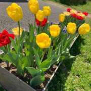 ヒメ日記 2025/04/26 11:02 投稿 椎名　ここみ 30・40・50代☆人妻熟女コレクション