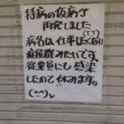 ヒメ日記 2025/05/25 16:46 投稿 椎名　ここみ 30・40・50代☆人妻熟女コレクション