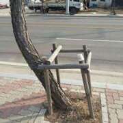 ヒメ日記 2025/06/05 11:01 投稿 椎名　ここみ 30・40・50代☆人妻熟女コレクション