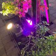 ヒメ日記 2025/06/13 14:15 投稿 椎名　ここみ 30・40・50代☆人妻熟女コレクション