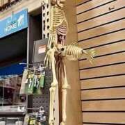 ヒメ日記 2025/07/16 19:01 投稿 椎名　ここみ 30・40・50代☆人妻熟女コレクション