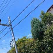 ヒメ日記 2025/07/29 12:05 投稿 椎名　ここみ 30・40・50代☆人妻熟女コレクション