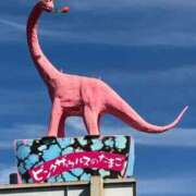 ヒメ日記 2025/10/03 10:30 投稿 椎名　ここみ 30・40・50代☆人妻熟女コレクション