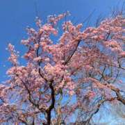 椎名　ここみ こんにちは 30・40・50代☆人妻熟女コレクション