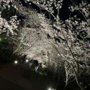 ヒメ日記 2026/04/04 20:01 投稿 椎名　ここみ 30・40・50代☆人妻熟女コレクション