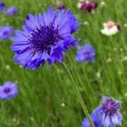 ヒメ日記 2026/04/28 10:30 投稿 椎名　ここみ 30・40・50代☆人妻熟女コレクション