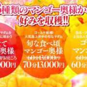 椎名　ここみ 8/14（金）～8/16（日）は店休日です！ 30・40・50代☆人妻熟女コレクション