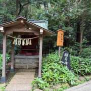 ヒメ日記 2026/08/18 10:53 投稿 椎名　ここみ 30・40・50代☆人妻熟女コレクション