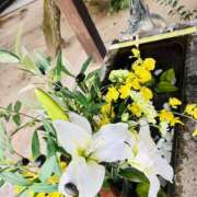 ヒメ日記 2024/12/20 13:42 投稿 一色　岬 30・40・50代☆人妻熟女コレクション