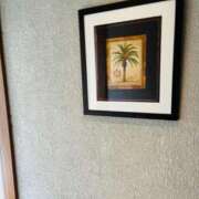 ヒメ日記 2025/01/04 16:31 投稿 一色　岬 30・40・50代☆人妻熟女コレクション