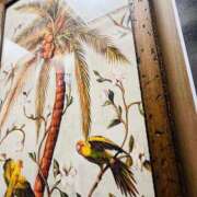 ヒメ日記 2025/01/21 18:02 投稿 一色　岬 30・40・50代☆人妻熟女コレクション