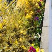 ヒメ日記 2025/01/28 18:12 投稿 一色　岬 30・40・50代☆人妻熟女コレクション