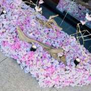 ヒメ日記 2025/02/23 15:15 投稿 一色　岬 30・40・50代☆人妻熟女コレクション