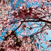 ヒメ日記 2025/03/10 09:18 投稿 一色　岬 30・40・50代☆人妻熟女コレクション