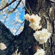 ヒメ日記 2025/03/23 09:38 投稿 一色　岬 30・40・50代☆人妻熟女コレクション