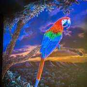 ヒメ日記 2025/04/06 09:00 投稿 一色　岬 30・40・50代☆人妻熟女コレクション