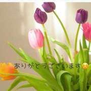 ヒメ日記 2025/04/15 21:31 投稿 一色　岬 30・40・50代☆人妻熟女コレクション