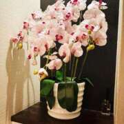 ヒメ日記 2025/05/11 23:15 投稿 一色　岬 30・40・50代☆人妻熟女コレクション