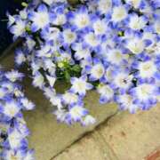 ヒメ日記 2025/06/05 09:45 投稿 一色　岬 30・40・50代☆人妻熟女コレクション