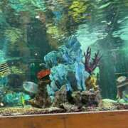 ヒメ日記 2025/06/29 10:00 投稿 一色　岬 30・40・50代☆人妻熟女コレクション