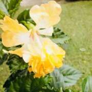 ヒメ日記 2025/07/12 09:51 投稿 一色　岬 30・40・50代☆人妻熟女コレクション