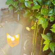 ヒメ日記 2025/07/12 20:01 投稿 一色　岬 30・40・50代☆人妻熟女コレクション