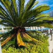 ヒメ日記 2025/08/01 12:05 投稿 一色　岬 30・40・50代☆人妻熟女コレクション