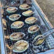 ヒメ日記 2025/08/15 12:04 投稿 一色　岬 30・40・50代☆人妻熟女コレクション