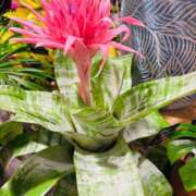 ヒメ日記 2025/08/21 09:30 投稿 一色　岬 30・40・50代☆人妻熟女コレクション