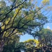 ヒメ日記 2025/09/08 09:37 投稿 一色　岬 30・40・50代☆人妻熟女コレクション