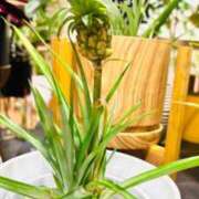 ヒメ日記 2025/09/17 10:15 投稿 一色　岬 30・40・50代☆人妻熟女コレクション