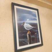 一色　岬 貸切御礼💓 30・40・50代☆人妻熟女コレクション