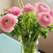 ヒメ日記 2025/12/12 09:30 投稿 一色　岬 30・40・50代☆人妻熟女コレクション