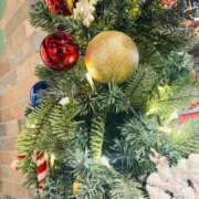 ヒメ日記 2025/12/25 09:30 投稿 一色　岬 30・40・50代☆人妻熟女コレクション