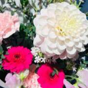 ヒメ日記 2026/01/25 09:45 投稿 一色　岬 30・40・50代☆人妻熟女コレクション