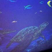 ヒメ日記 2026/02/06 22:30 投稿 一色　岬 30・40・50代☆人妻熟女コレクション